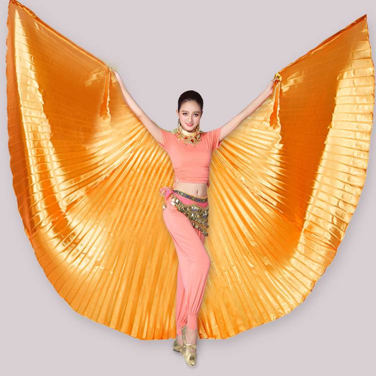 ORANGE WINGS PLUS AN AVERAGE OF 75CM STICKS